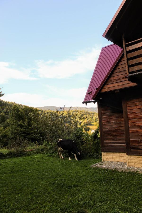 Cottage "Karpatske Shale" Yaremtche Extérieur photo
