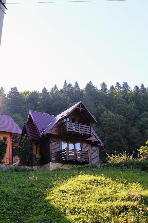 Cottage "Karpatske Shale" Yaremtche Extérieur photo