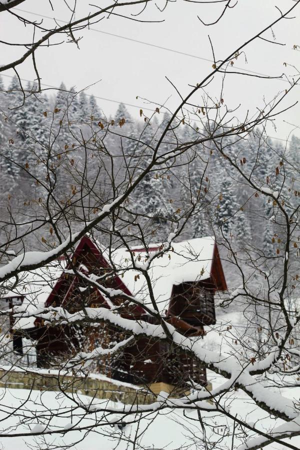 Cottage "Karpatske Shale" Yaremtche Extérieur photo
