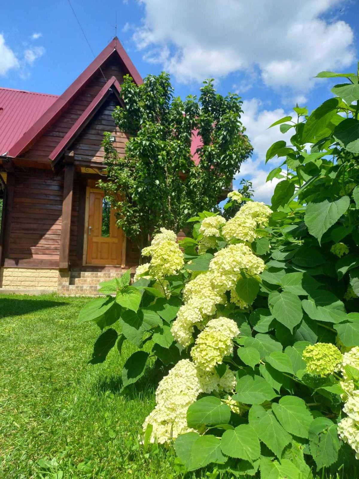 Cottage "Karpatske Shale" Yaremtche Extérieur photo